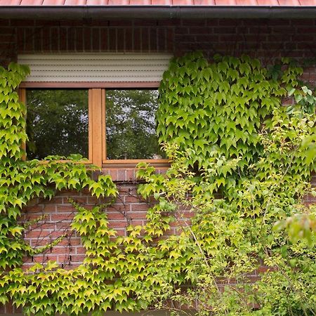 Ferienwohnung Meinersen Zewnętrze zdjęcie