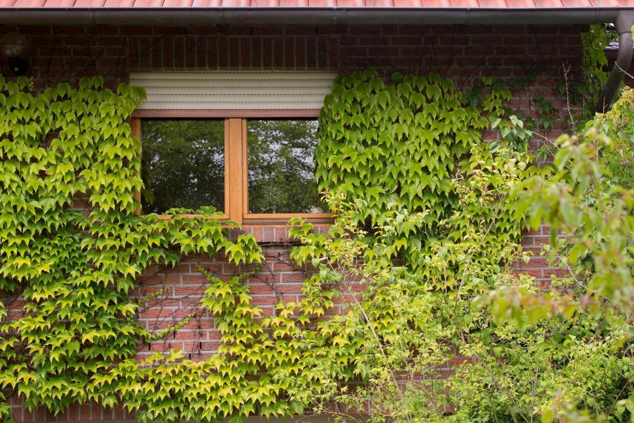 Ferienwohnung Meinersen Zewnętrze zdjęcie